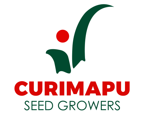 Curimapu Seed Growers