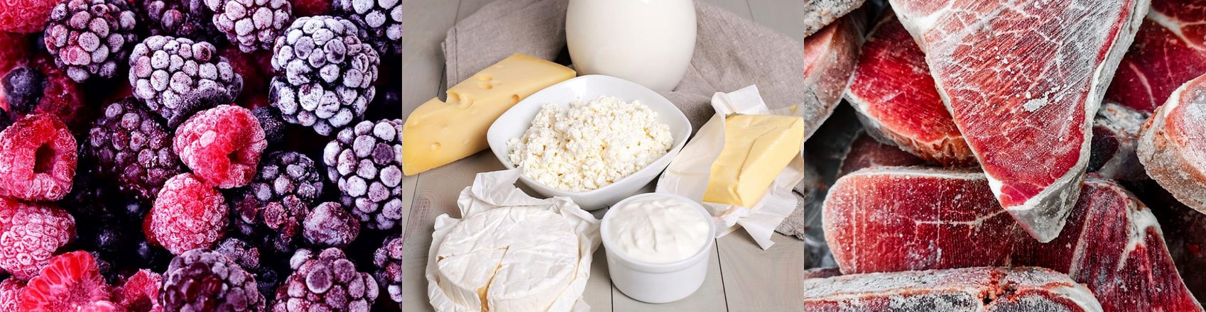 Productos agroindustriales: berries congelados, lácteos y carnes en frío